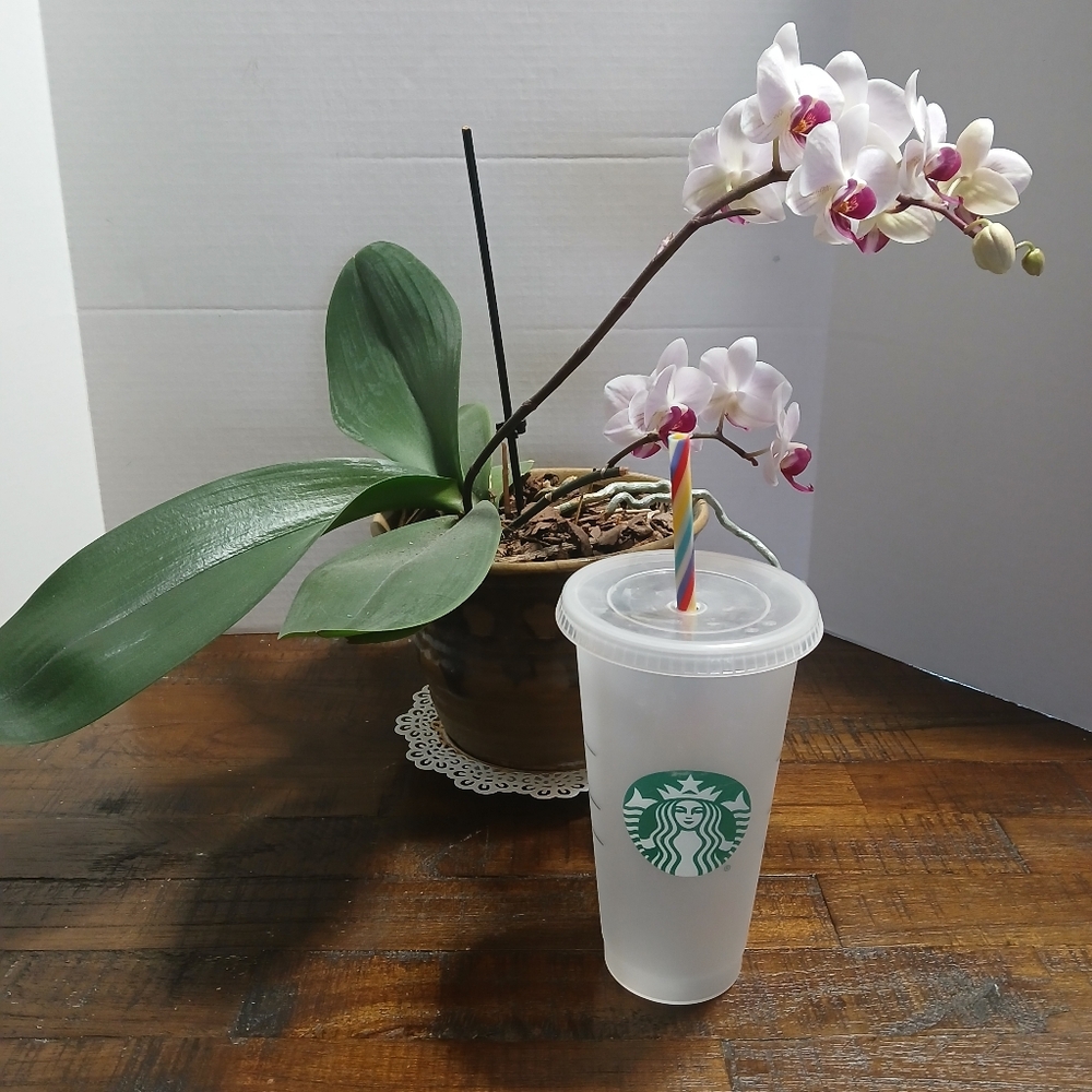 Starbucks Frosted Cup with Rainbow Straw